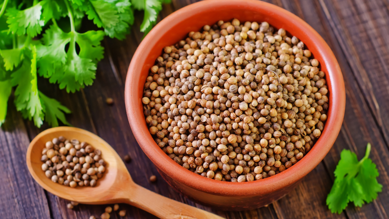 You are currently viewing Coriander Seeds