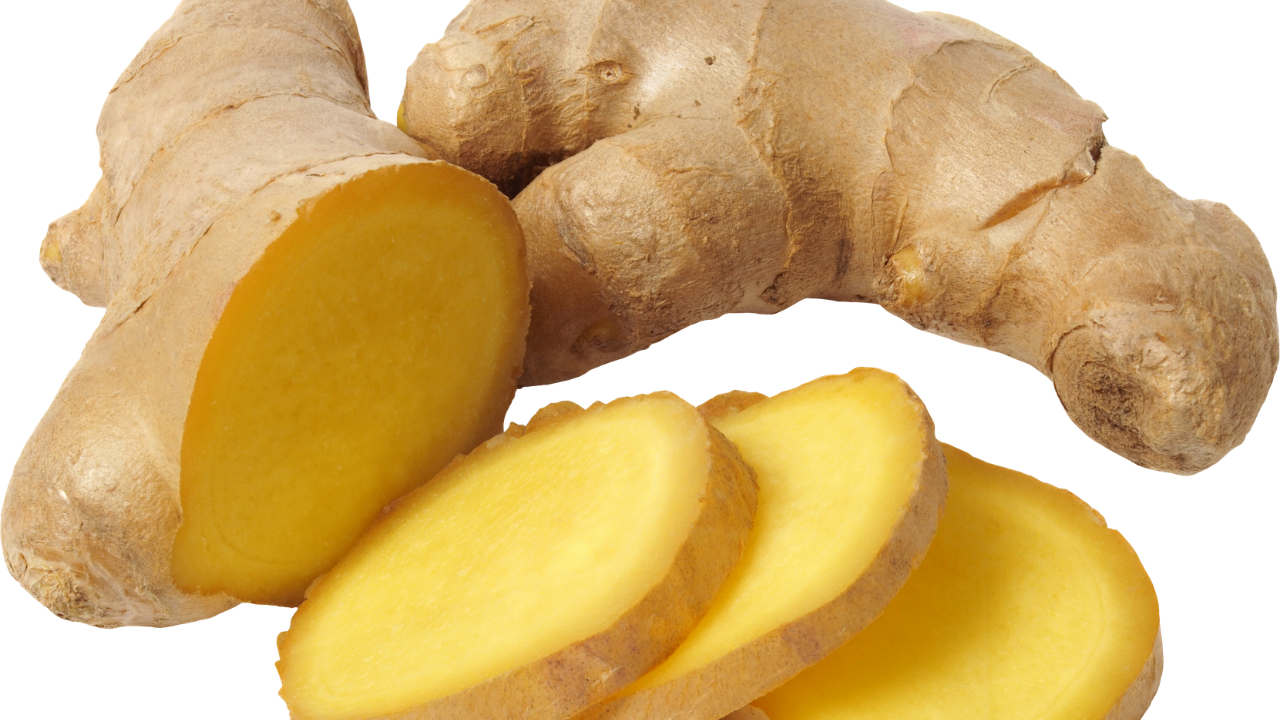 You are currently viewing Ginger