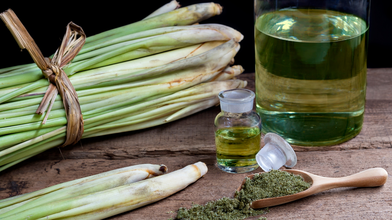You are currently viewing Lemon Grass